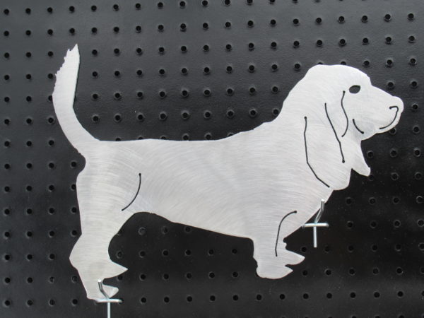 Bassett Hound